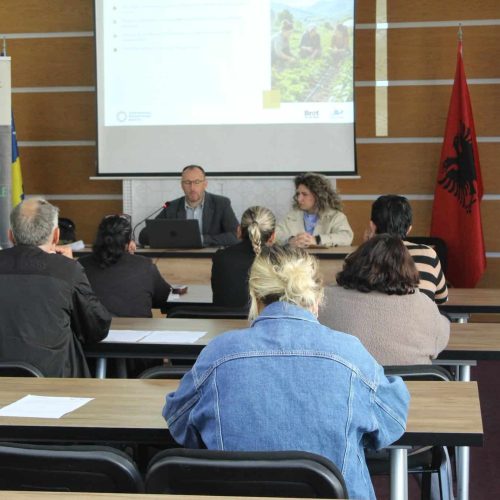 Gratë dhe personat me aftësi të kufizuara në Gjakovë dhe Junik informohen për mu…